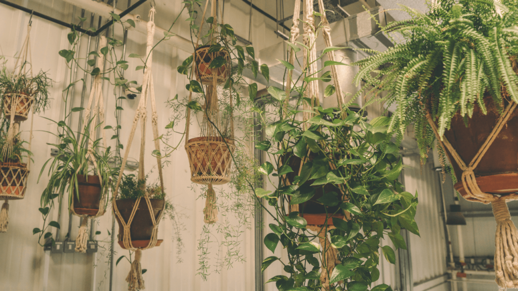 Conecte sua casa com a natureza