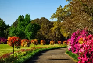 Flores e Plantas no interior do ambiente