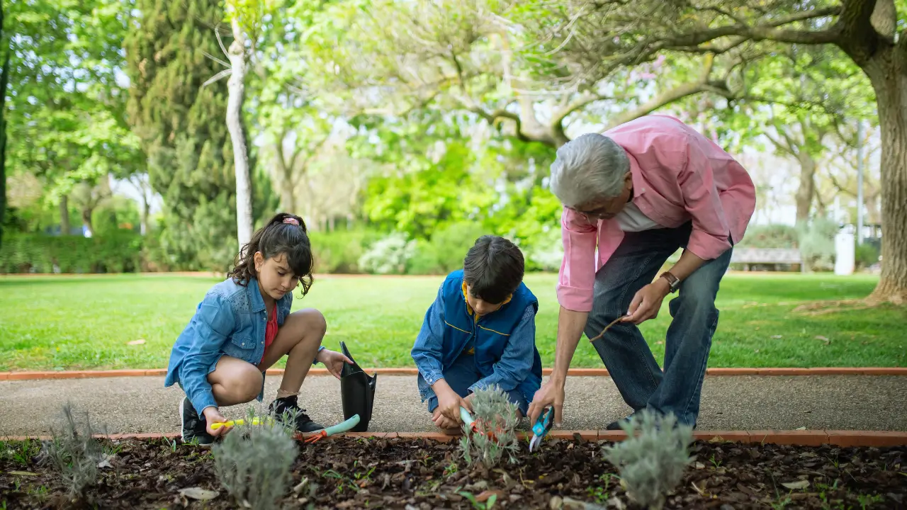 Espaços naturais para Crianças e idosos