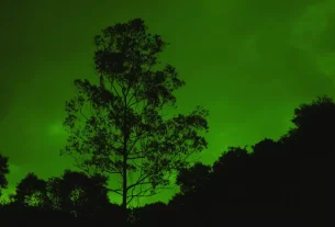 Acessórios Naturais: Renove seu lar com Toque Sustentável