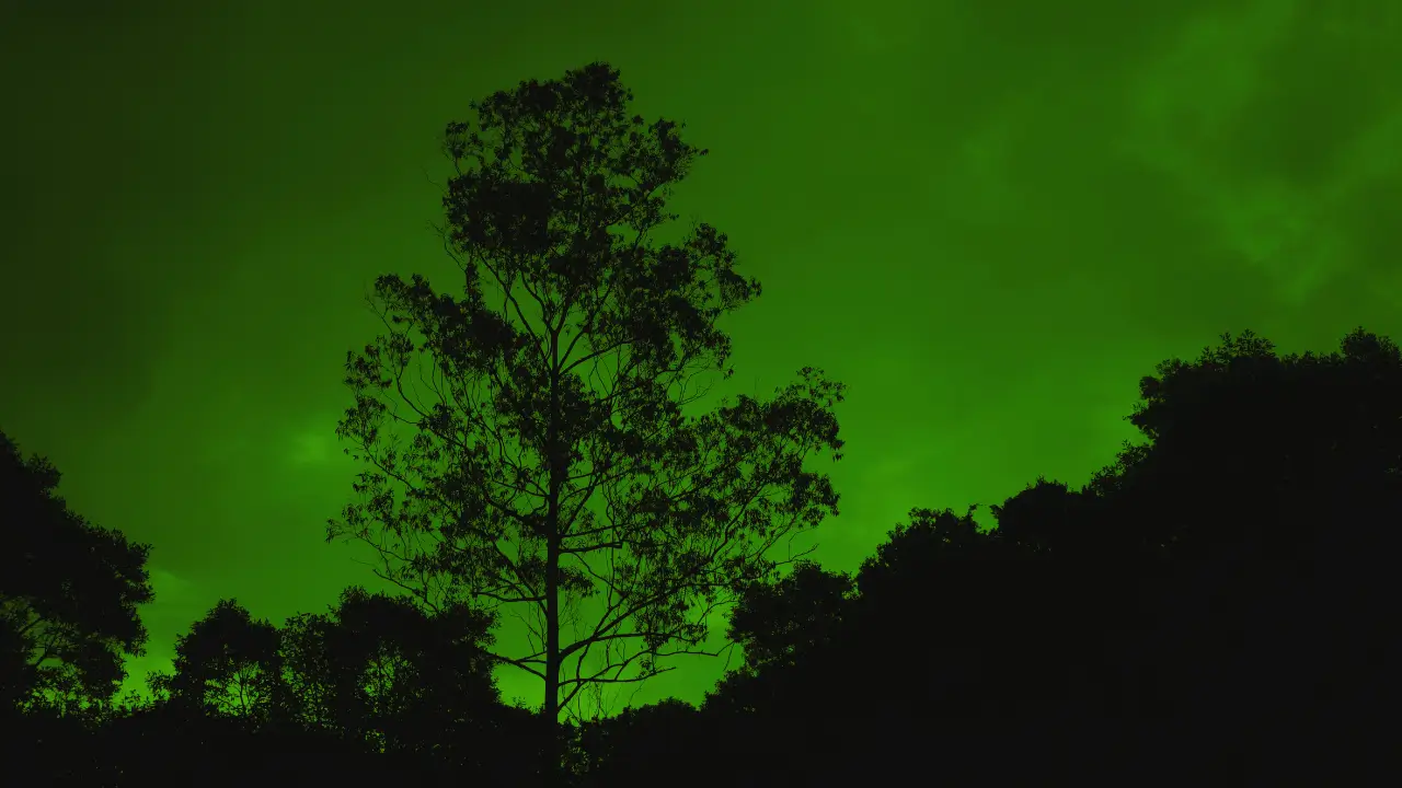 Acessórios Naturais: Renove seu lar com Toque Sustentável