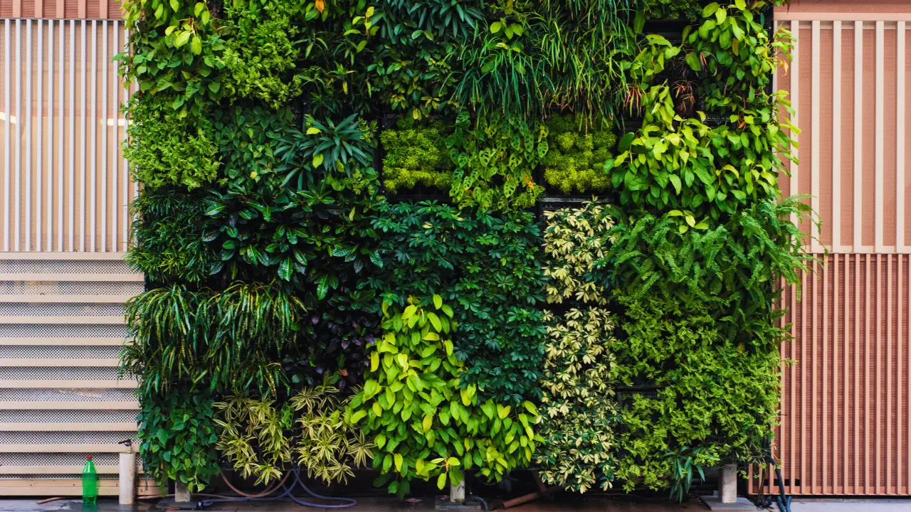 Jardins Verticais Inteligentes: 5 Benefícios para um Lar Mais Sustentável