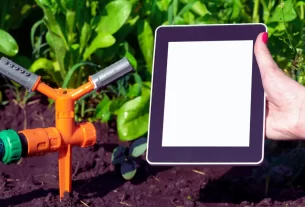 Smart Gardens: 7 Dicas para Transformar Seu Lar