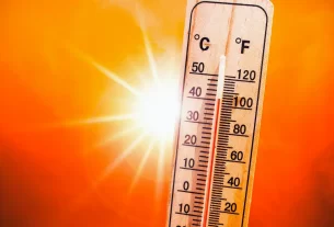 Verão 2025: Decoração Natural para Proteger sua Casa do Calor