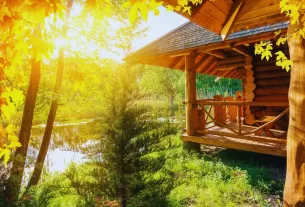 Decoração Natural no Outono: 8 Ideias Criativas da Natureza para Sua Casa