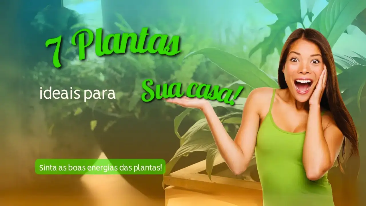 7 Plantas Ideais para Sua Casa Cheia de Boas Energias