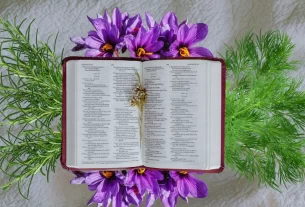 O Poder das Plantas da Bíblia: 3 ervas poderosas para Sua Saúde