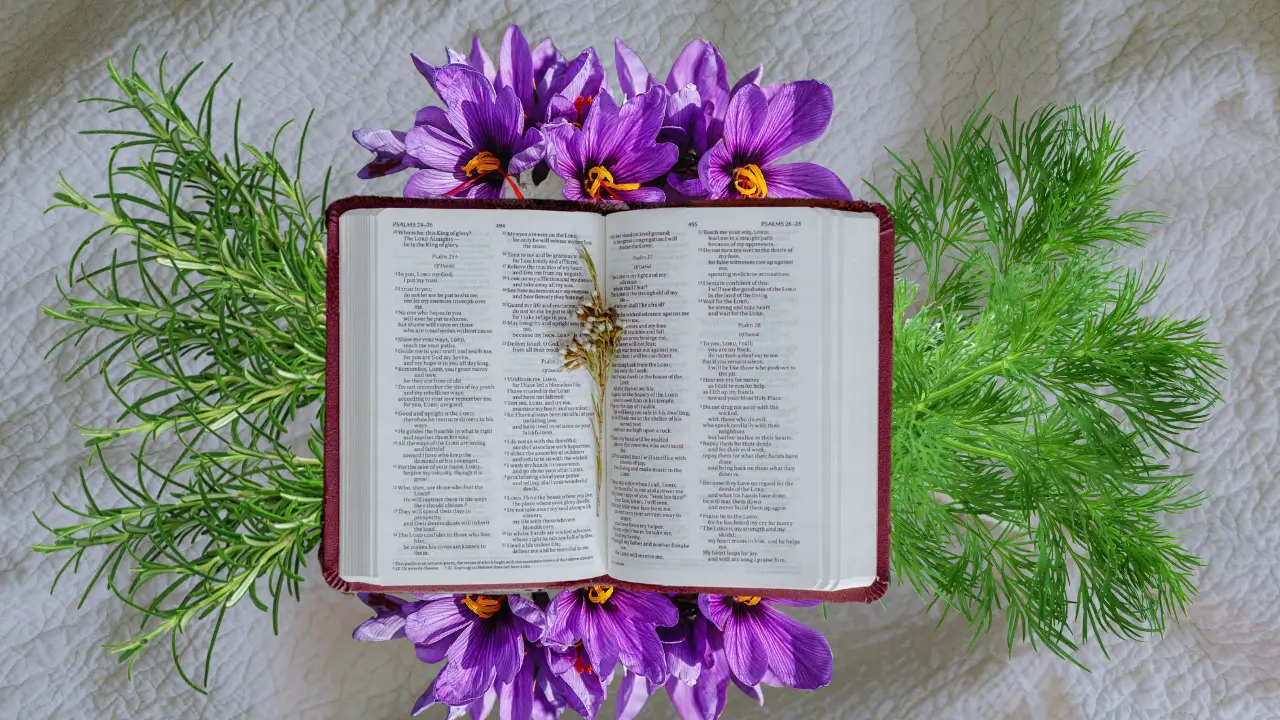 O Poder das Plantas da Bíblia: 3 ervas poderosas para Sua Saúde