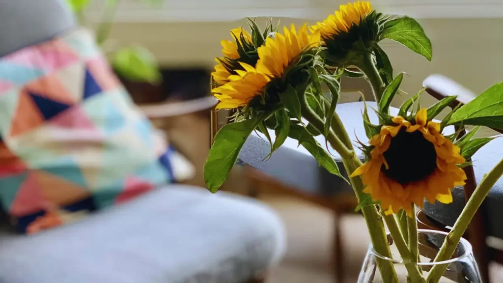 Ambiente decorado com girassóis, transmitindo energia positiva