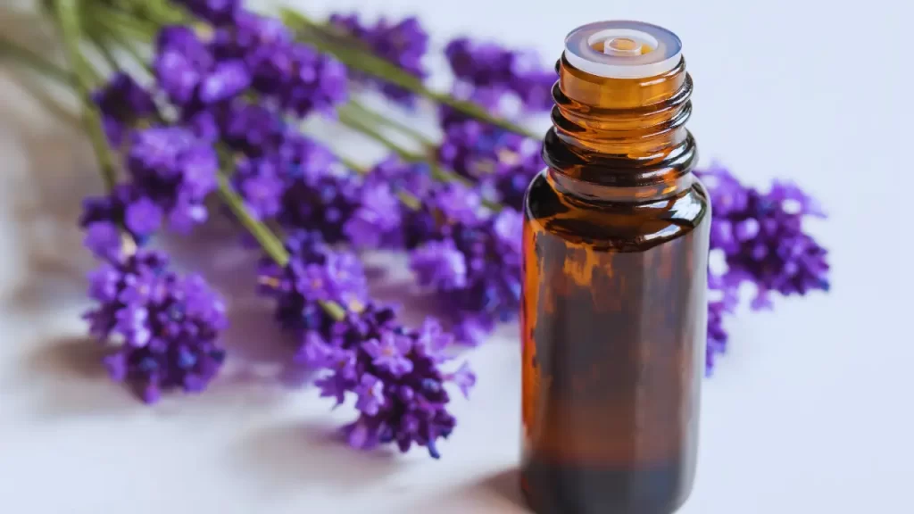 Cantinho de pausa com aromaterapia na decoração para saúde mental