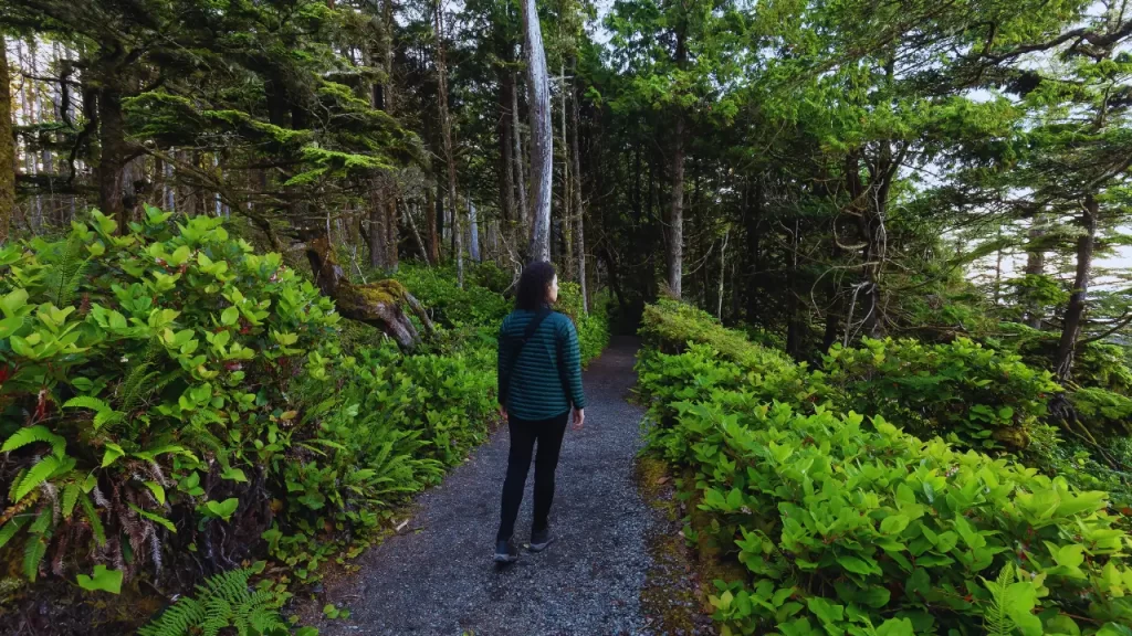 Caminhar ao ar livre ajuda no detox emocional.